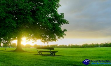 Sáu cách để tìm thấy sự bình yên